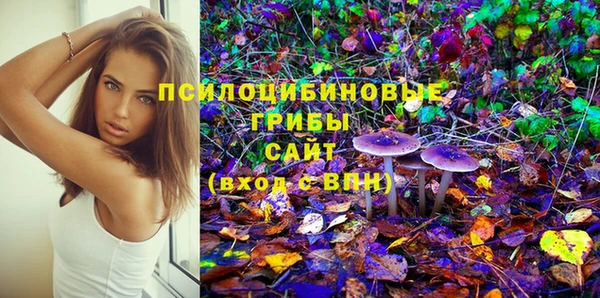скорость Богданович
