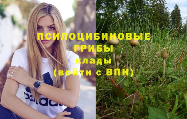 ALPHA PVP Беломорск