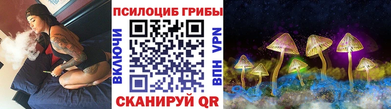 сколько стоит  Минеральные Воды  Галлюциногенные грибы GOLDEN TEACHER 