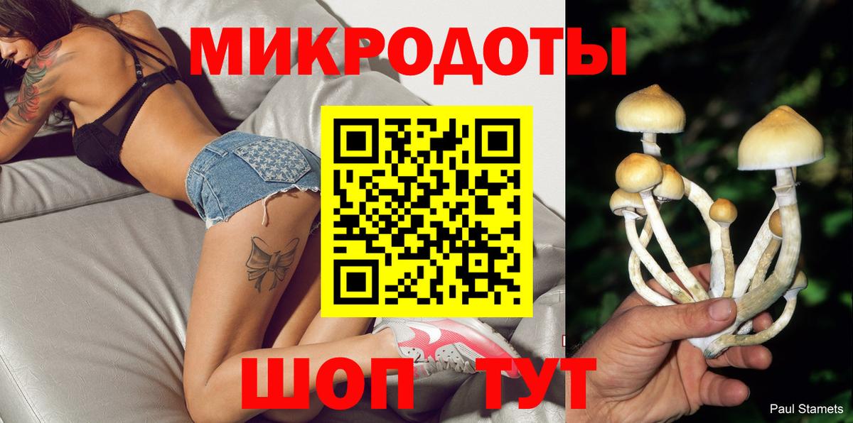 Минеральные Воды  Галлюциногенные грибы Psilocybe  Псилоцибиновые грибы Psilocybe  Вход с VPN 